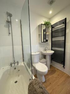 a bathroom with a toilet and a sink at Luxury City Centre Apartment, Winchester in Winchester