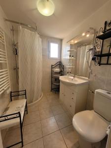 a bathroom with a toilet and a sink and a shower at La Milane in Cabriès