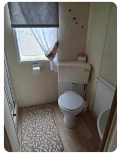 Un pequeño baño con inodoro y ventana. en Cosy 8 Berth Caravan At Southview Park In Skegness Ref 33024E, en Winthorpe