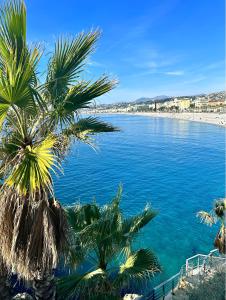- une vue sur la plage avec un palmier dans l'établissement Modern apartment with AC near Old Nice & Beach, à Nice