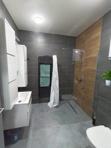 a bathroom with a shower and a sink at Apartmány Sebastian in Golčŭv Jeníkov
