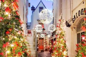 un grupo de árboles de Navidad delante de un edificio en Luxury TrullidiGiulia, piscina uso esclusivo, en Ostuni