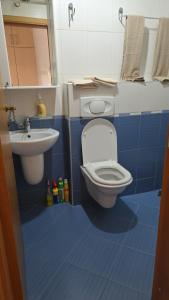 a bathroom with a toilet and a sink at Apartman 13 Valjevo in Valjevo