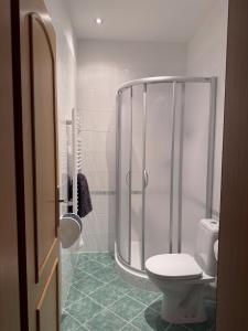a bathroom with a shower and a toilet at Pension Vzhůru nohama Jáchymov in Jáchymov