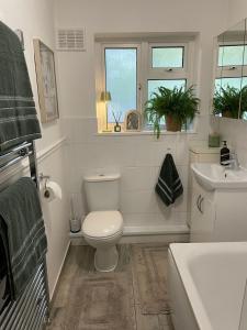 une salle de bain blanche avec toilettes et lavabo dans l'établissement The Two-Bedroom Hideaway, à Chessington