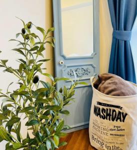 a potted plant sitting next to a door at KT-HouSe FUKUOKA 211 in Fukuoka