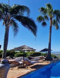 a swimming pool with chairs and umbrellas and palm trees at Monte Borboleta in Faro