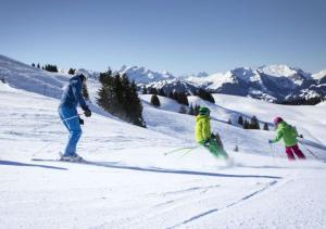 a group of three people skiing down a snow covered slope at Bijou Appartment in Zollikofen