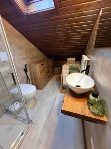 a bathroom with a sink and a toilet at Renovated Mountain View Appartment in Auronzo di Cadore