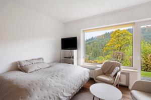 a bedroom with a bed and a large window at Ferienwohnung Wald-Ausblick in Willingen