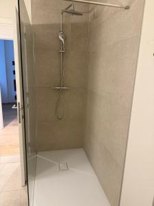a shower with a shower head and a glass door at The Downtown Experience - 2 BR, Bright, Spacious & Central in Brussels