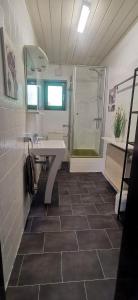 a bathroom with a sink and a shower at Ferienwohnung Saussele in Arrach +23 photos