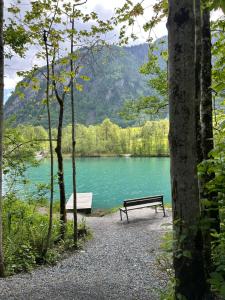 a park bench sitting in front of a lake at Appartment Marcher in Kaprun +6 photos
