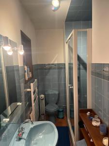 a bathroom with a sink and a toilet at Séjour dans ferme de 1876 in Marignier
