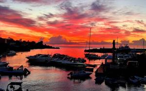 a group of boats docked in a harbor with a sunset at VIMAVÌ Rooms & Apartment in Catania +70 photos