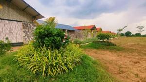 Zahrada ubytování Divydrashti Resorts