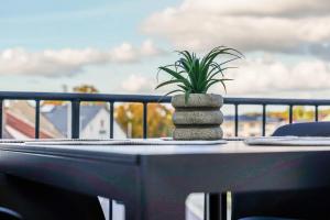 a plant sitting on top of a table on a balcony at BaLa Suites Apartment House in Bad Lausick