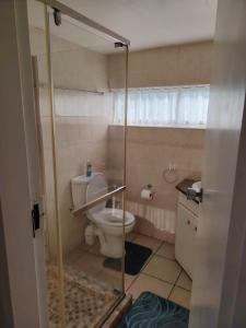 a bathroom with a toilet and a glass door at Santana Resort 401 in Margate