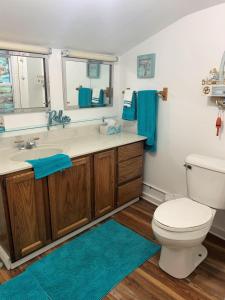 a bathroom with a toilet and a sink and a mirror at The Blue Bliss in Saint Ignace