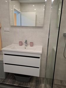 a bathroom with a white sink and a mirror at Apartman Ditka in Bihać