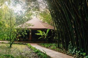a building in the middle of a bamboo forest at Octagon Lodge in Karatu