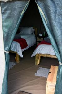 a bedroom with two beds in a tent at Zandfontein Bush Camp and Game Farm in Platdrift
