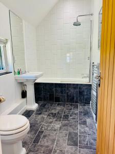 a bathroom with a toilet and a sink and a shower at The Thatched Barn in Thame