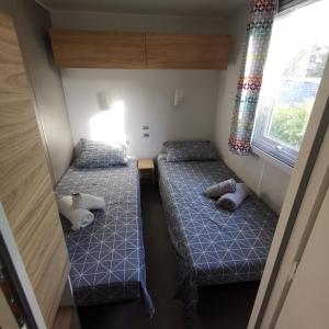 two bunk beds in a small room with a window at Houlgate-154- Mobilhome cosy 4 personnes Camping 5 étoiles in Houlgate