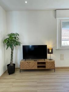 a flat screen tv sitting in a living room with a plant at Empoli Loft in Empoli