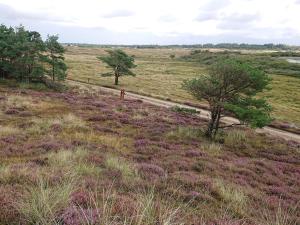 Příroda nedaleko prázdninového domu