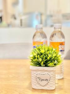 Fotografie z fotogalerie ubytování Cozy Kuching MJC Skyvilla Apartment v destinaci Kučing