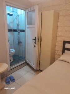 a bathroom with a shower and a toilet and a door at Langa Esra in Istanbul