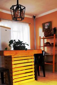 a wooden table with a potted plant on top of it at The Oval House in Otse