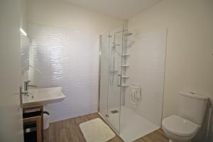 a bathroom with a shower and a toilet and a sink at Gîte Les Champs N°1 in Saint-Mathieu +24 photos