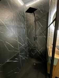 a bathroom with a shower with a glass wall at Cristina Apartment in Râşnov +11 photos