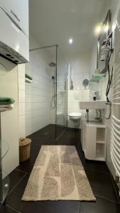 a bathroom with a shower and a sink and a toilet at Goslar FeWo Kultur & Naturgenuss in Goslar +14 photos