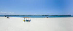 Příroda nedaleko prázdninového domu + 9 fotografií