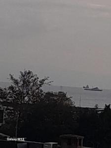 a cruise ship in the water with a tree at Fatih simge in Istanbul