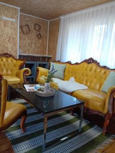 Posezení v ubytování Gyps Vikendica with Swimming Pool and Sauna