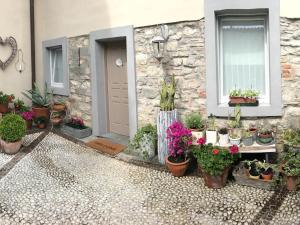 a house with potted plants in front of it at Bed and Breakfast Casa del Nonno in Adrara San Martino