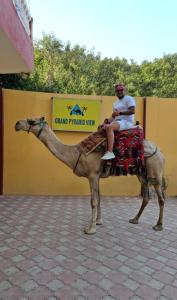 a man sitting on the back of a camel at Grand Pyramid View Hotel in Cairo
