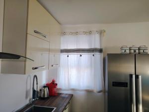 a kitchen with a refrigerator and a window at Vivere in Slovenia in Plavje