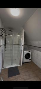a bathroom with a shower and a washing machine at Asiatisches Landhaus Pension in Braunsbedra