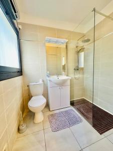 a bathroom with a toilet and a shower and a sink at LE VERT accommodation for 3 guests near train station in Perpignan