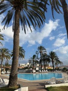 a swimming pool with palm trees and chairs at Secret Bungalow, Los Arcos in San Bartolomé
