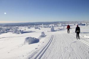 Sjusjøen Hytteutleie om vinteren