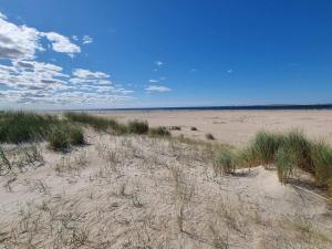 a sandy beach with grass and weeds on it at Panoramic Golf View Retreat - By Traum Ferienwohnungen in Sønderby