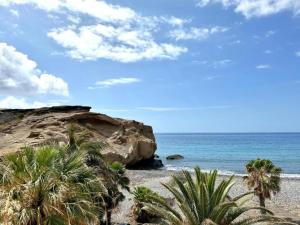 una playa con palmeras y el océano en Casa Ñaña Pay, en La Mareta