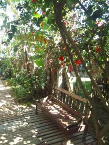 a wooden bench sitting under a tree with red flowers at Estúdio em Capão da Canoa in Capão da Canoa