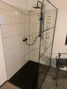 SosbergにあるFerienwohnung Schimpfのガラスドア付きのシャワーが備わります。